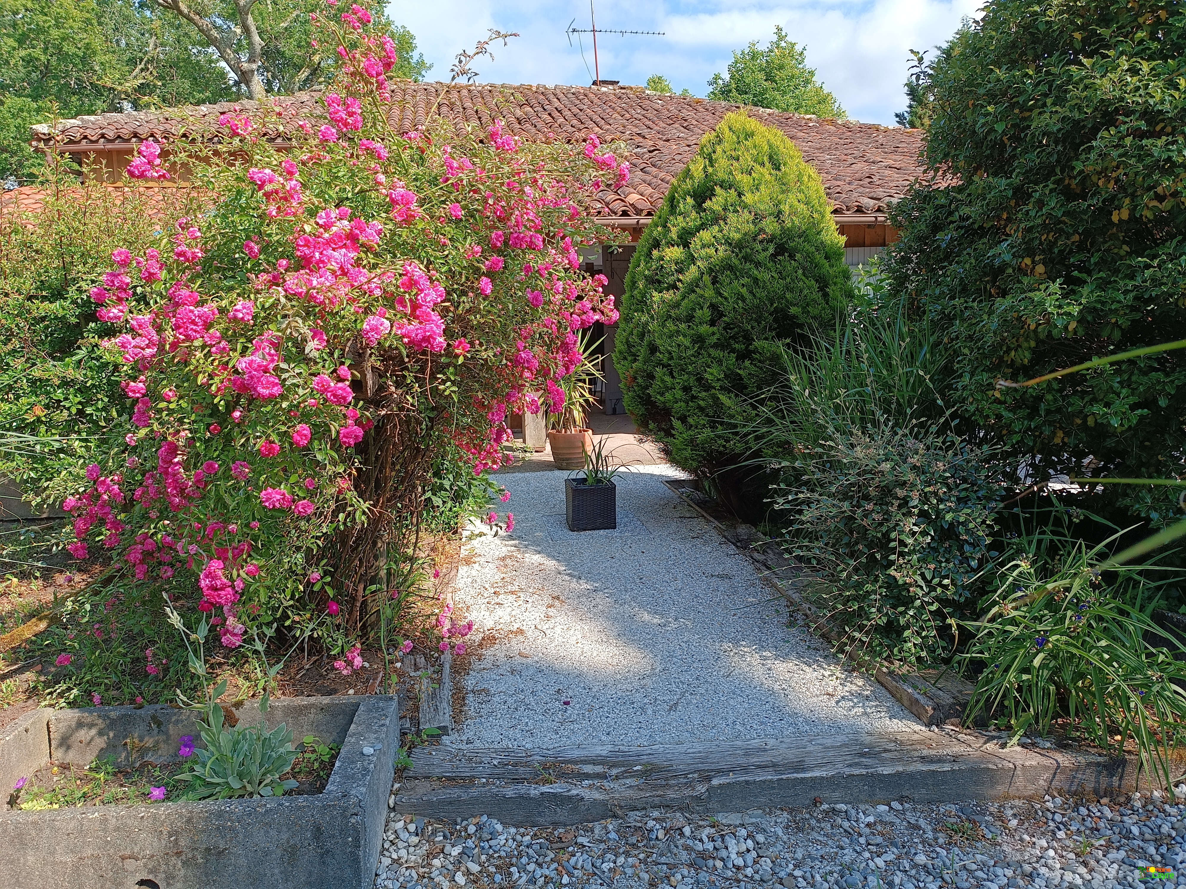 Fleur sur le domaine du Cayre