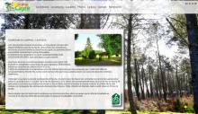 Illustration Domaineducayre.com de Opening of the new Cassidy domain website